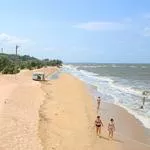 Лотосы и пляж Голубицкой