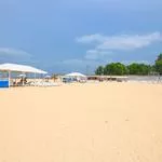 Лотосы и пляж в Голубицкой